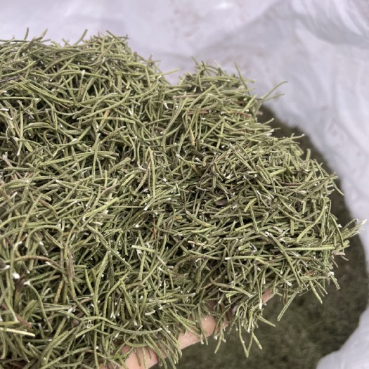 重庆市迷迭香干叶 中药材迷迭香 小叶迷迭香 国产 基地直供