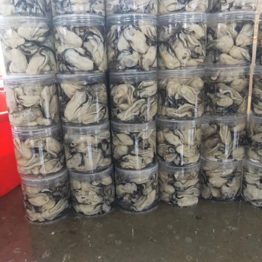阳西县咸水肉 广东生蚝鲜活 大量批发 海蛎子水产台山 阳江程村生蚝