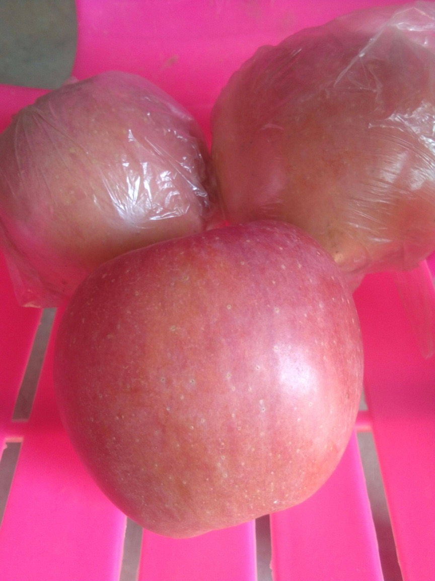 虞城县优质精品红富士苹果火热供应中。