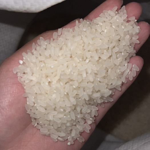 镇赉县吉林白城自家种的大米，长粒香 少化肥少农药嫩江水灌溉