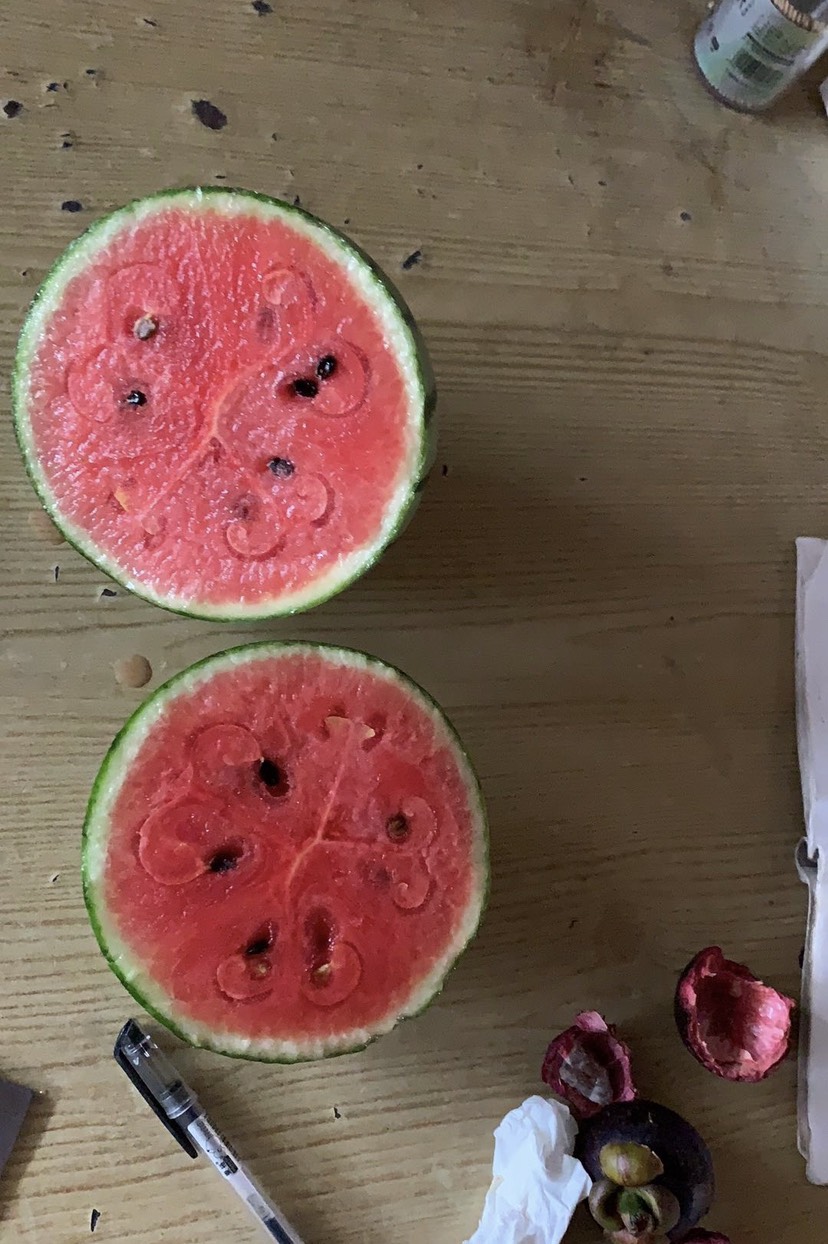 早春红玉西瓜  早春红玉 量大质优 产地直发 专业代办 质量保证