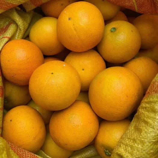 麻阳县湖南怀化麻阳冰糖橙子