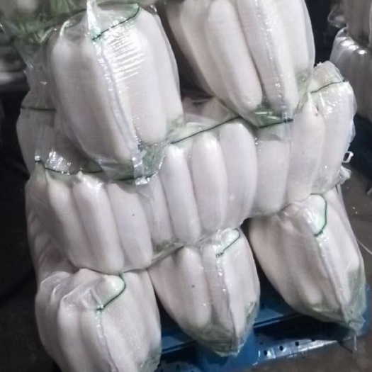 天门市【大量精品】湖北白萝卜，板叶萝卜，精品甜脆。全国发货