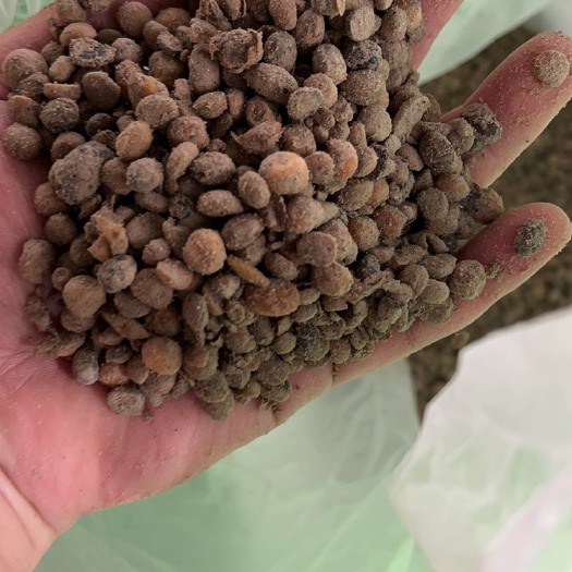 寿光市发酵大豆 需要的送样品