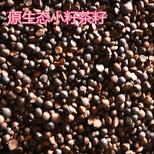 瑞金市 自家山地种植天然山茶油 茶籽油