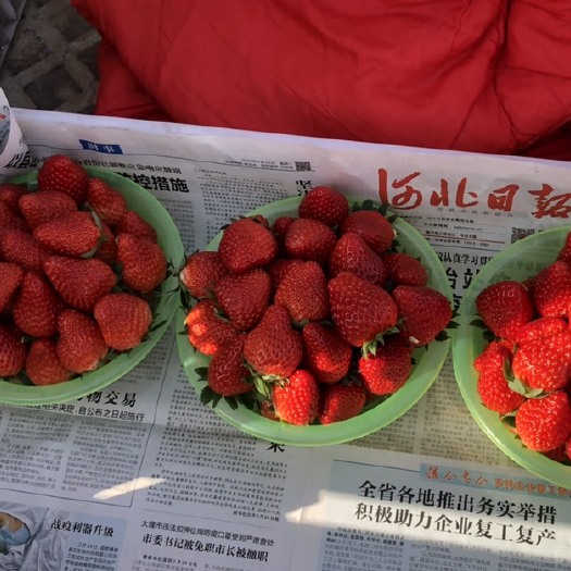 北京红颜草莓