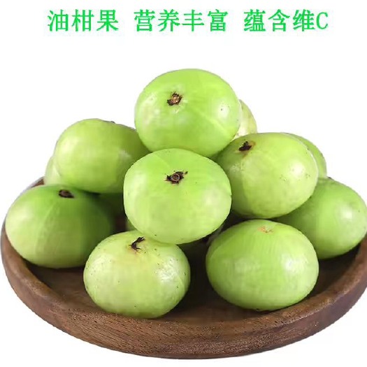 灵山县余甘果苗