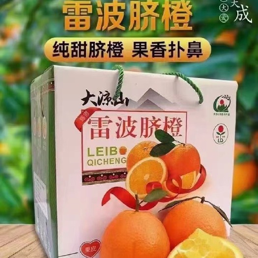 雷波县 中国优质产品大凉山雷波脐橙上市，批发零售代发快递