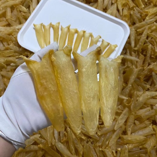 黄花胶 足干货清水黄花胶原色泡发鱼肚批发 深海花胶大量批发