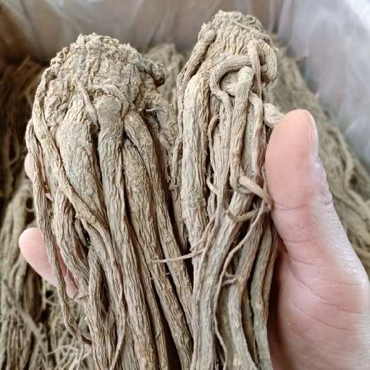 昆明岷当归 当归无硫 产地直供批发价