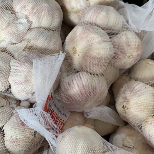 佛山白皮蒜 金乡大蒜