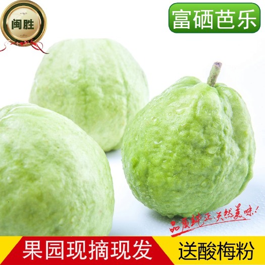 漳州 漳州龙海富硒芭乐5斤 当天采摘番石榴 水果清脆香甜 种植