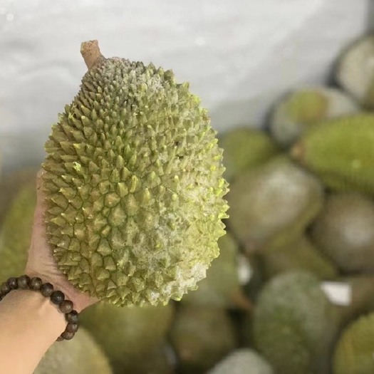 长沙马来西亚猫山王榴莲