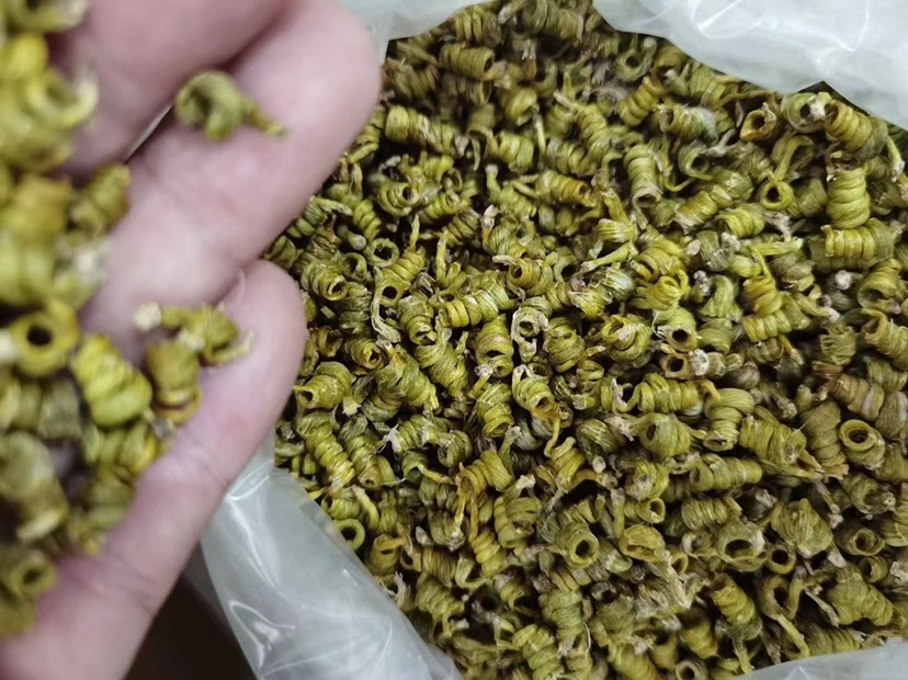 石斛米斛  霍山米斛、烤条，枫斗，林下种植，批发霍山米斛