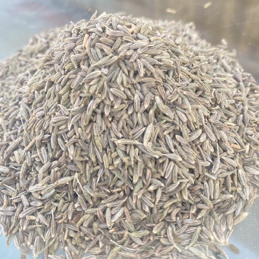 金塔县 新疆孜然，干度好颗粒大