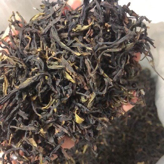 汕头 凤凰单丛茶叶