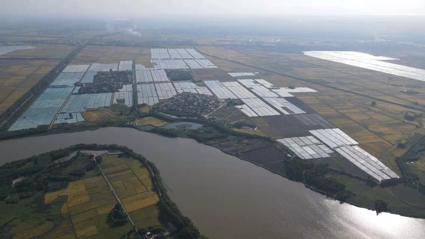 雷州市水田  800亩田地