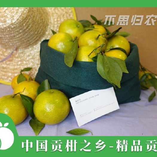 广州皇帝柑  中国贡柑之乡—正宗贡柑王（10斤即起批）