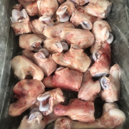 滦南县牛骨  乳牛拐骨 量大从优厂家直销一手货源质量保证