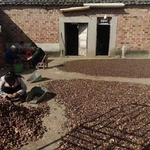 南昌山茶油  富硒茶油