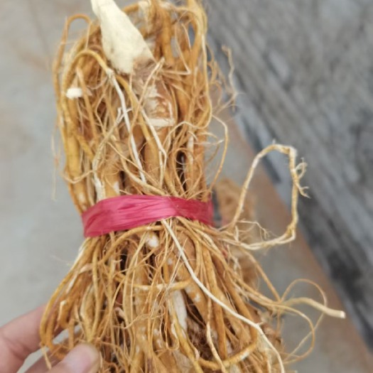 湛江五指毛桃根干货无硫 适合电商