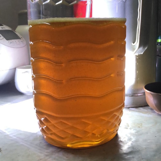 安陆市 自己家油茶籽榨的山茶油