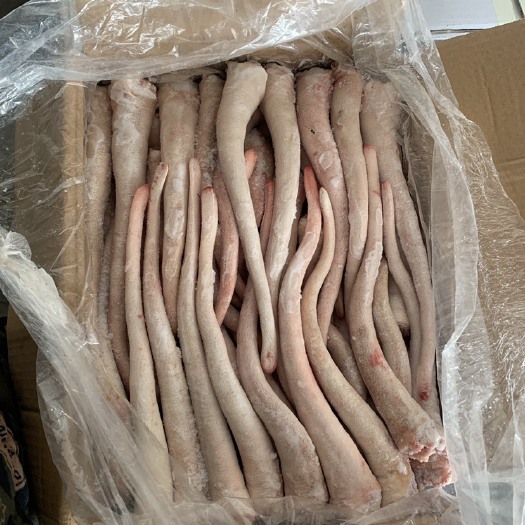 成都猪尾巴 标猪精修长尾