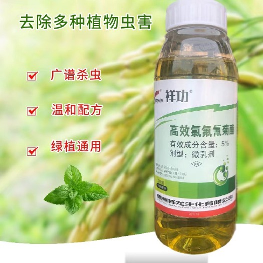 寿光市 5%高效氯氟氰菊酯 功夫菜青虫小菜蛾茶小绿叶蝉杀虫剂2斤