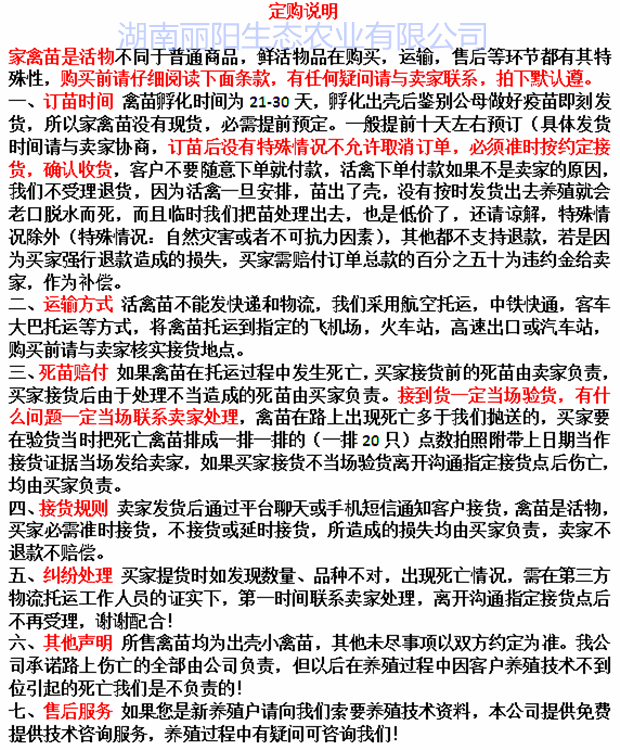 五黑绿壳蛋鸡苗乌骨鸡苗黑凤鸡苗厂家直销黑乌鸡苗五黑绿壳蛋鸡苗
