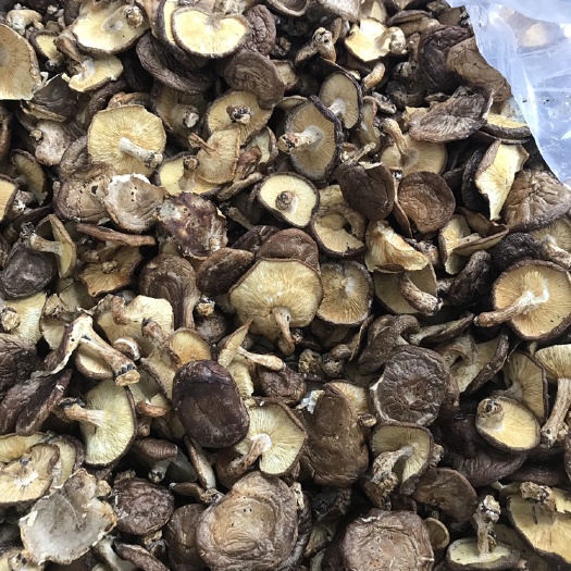 云南特产香菇  一手货源 价格优势