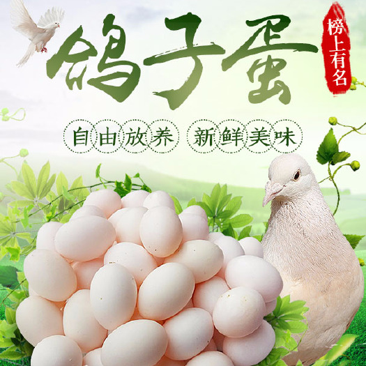 五河县鸽子蛋  新鲜鸽蛋30枚，包邮