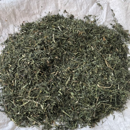 贵港广西产地新货穿心莲 价格便宜 有需要的可以联系