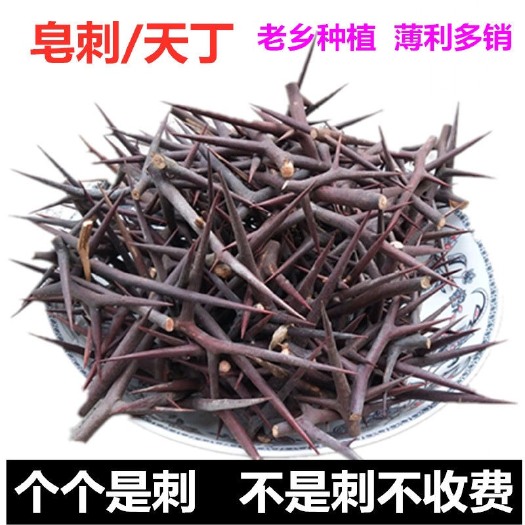 濮阳县 皂角刺