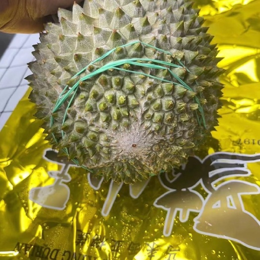 广州马来西亚液氮果猫山王榴莲D197新鲜水果带壳冻榴莲5头新日期