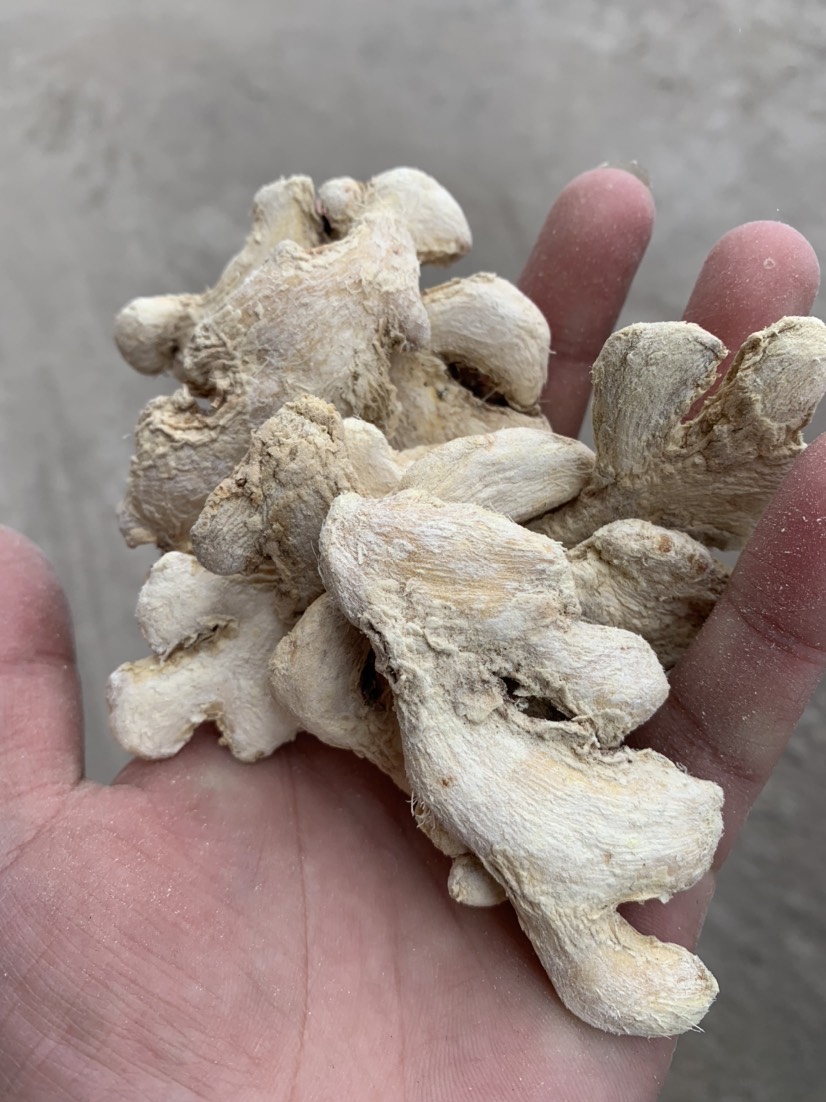 干姜，云南小黄姜干姜块，，产地直发，量大价优