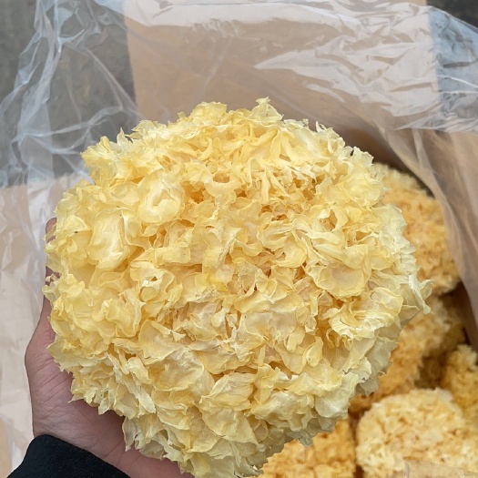 椴木银耳 各类银耳 工厂直销