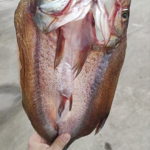 荆门翘嘴鲌鱼  阳干翘嘴鱼/风干大白刁/阳干大白鱼/全国物流次日达