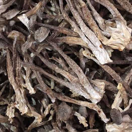 古田县鹿茸菇，产地直发，福建古田精选切根鹿茸菇，批发新货干货