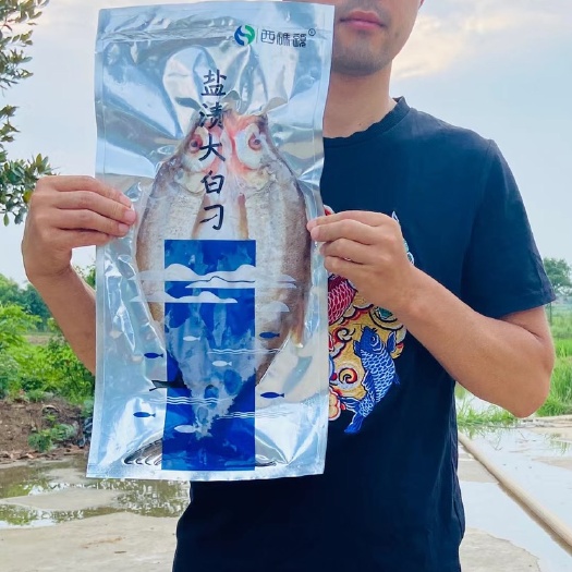 荆门翘嘴鲌鱼  盐渍翘嘴白鱼/冰鲜大白刁/全国物流次日达