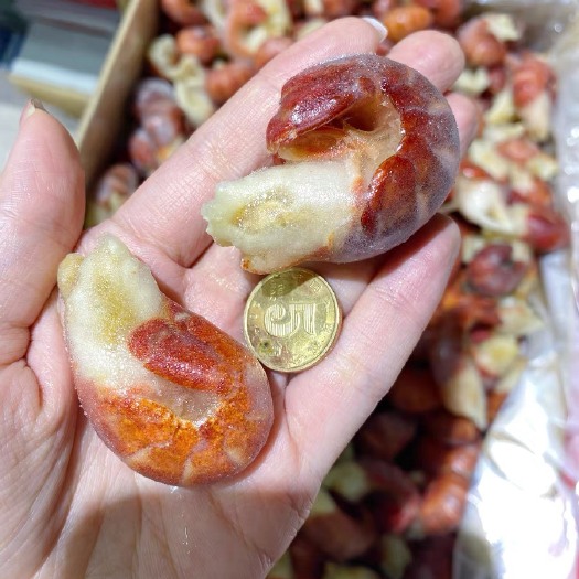 天津龙虾尾鲜活冷冻新鲜麻辣小龙虾尾香辣特级虾尾