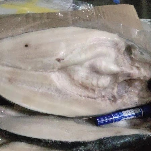 广州 14条装巴沙鱼