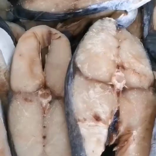 乐清市大马鲛鱼块