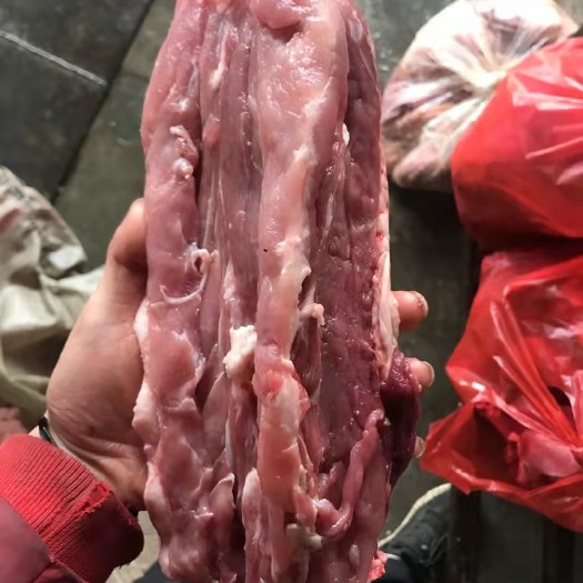 哈尔滨 龙骨
