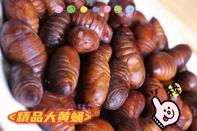宽甸县辽宁丹东柞蚕蛹    产地直销  批发与零售支持一件代发