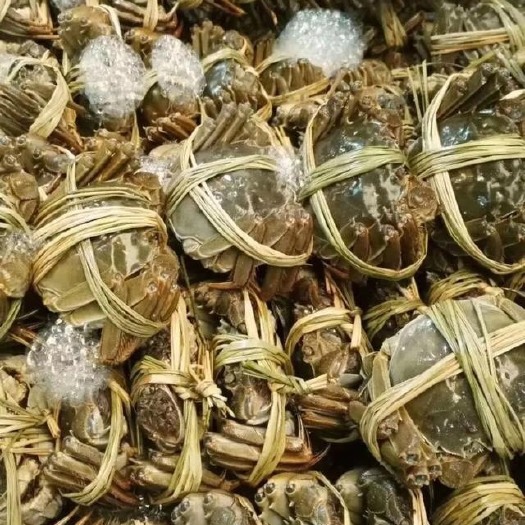 常州大闸蟹 38规格公母都有，一手本地塘口蟹，成活率超高