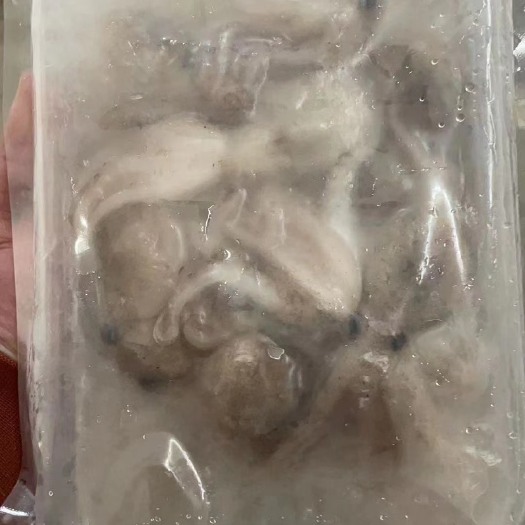 莱州市章鱼 原汁速冻八爪鱼，产地一手货