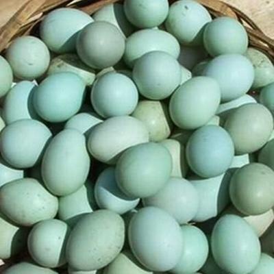 天津 乌鸡蛋