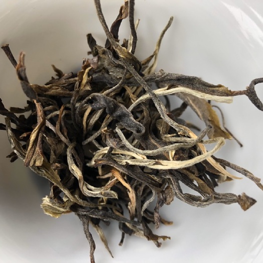 苦丁茶 老曼峨附近的（苦茶）普洱茶