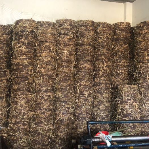 兴宁市山茶油茶枯饼
