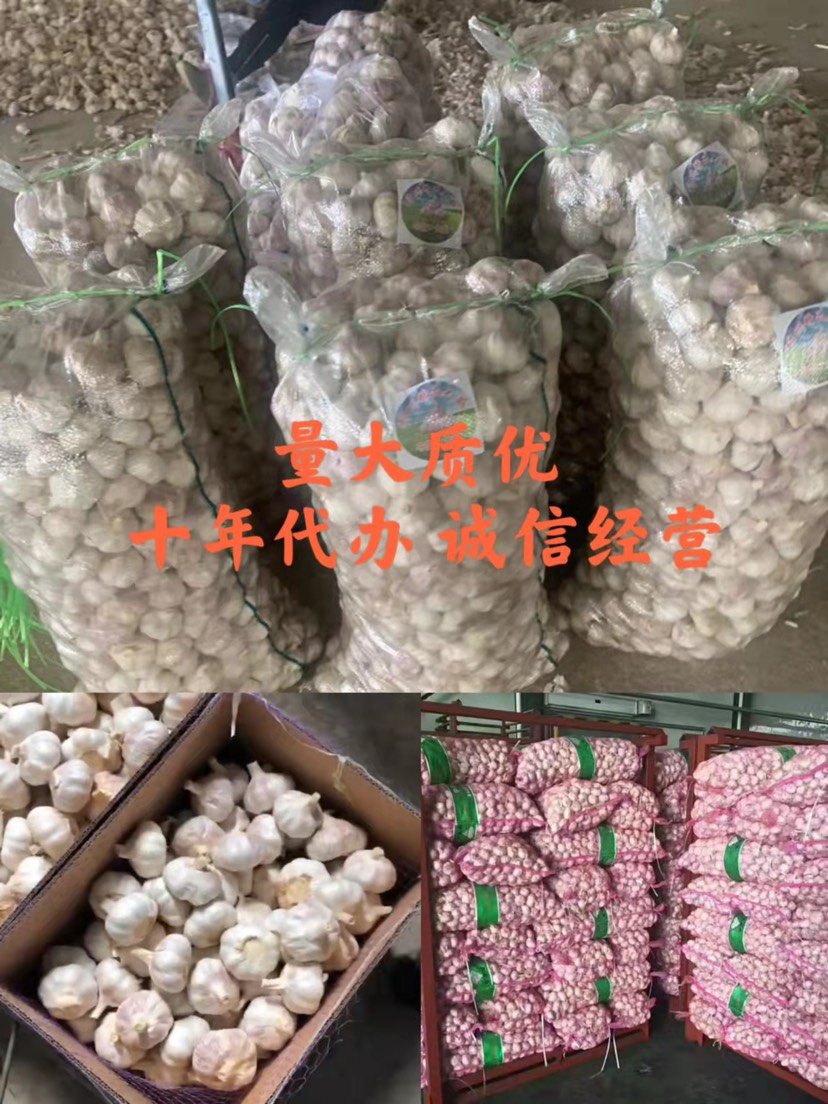 蒜米  金乡大蒜，支持各种包装，商超，社区，外贸，代发全国